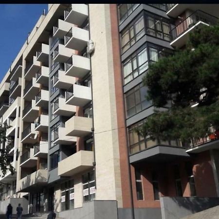 Sunny Apartment Ortachala Tbilisi Eksteriør bilde